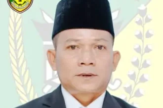 21. Ardianto Scaled 360x500 C