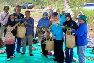 Dprd Serahkan Jagung 622x375