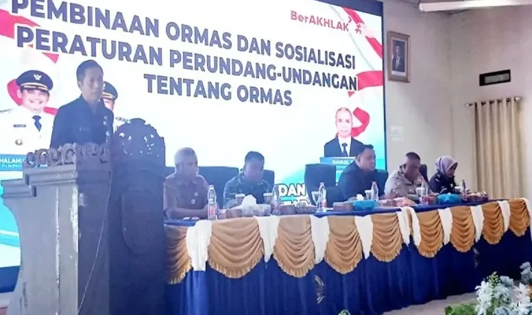 2010 Ormas