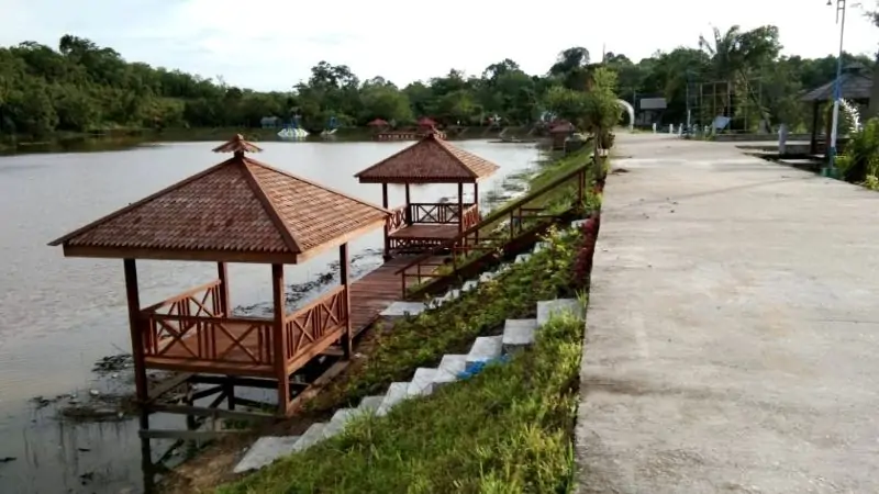 0703 Disbudpar